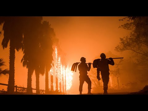 Walking With Fire: A Wildfire Documentary