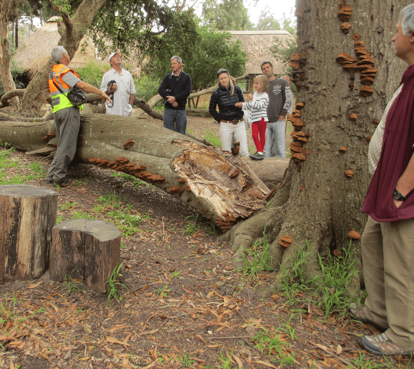 Arboretum Walk 2016