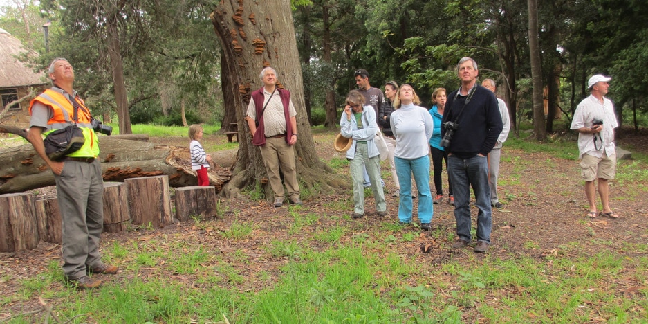 Arboretum Walk 2016