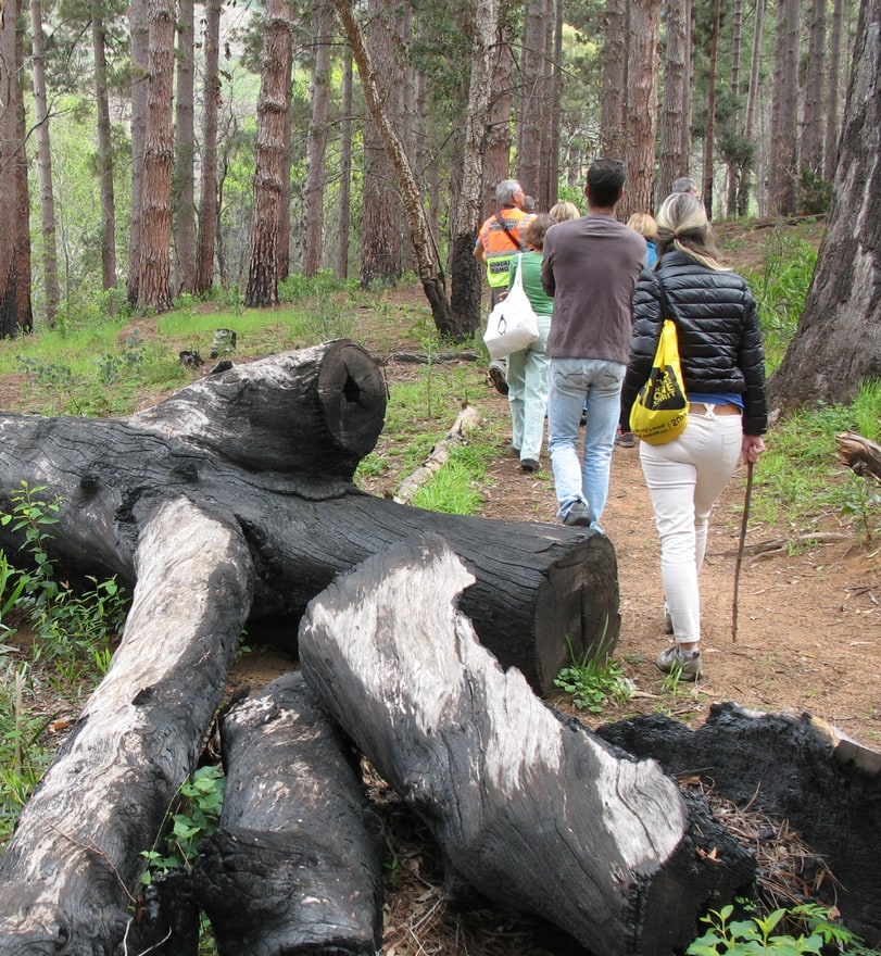 Arboretum Walk 2016