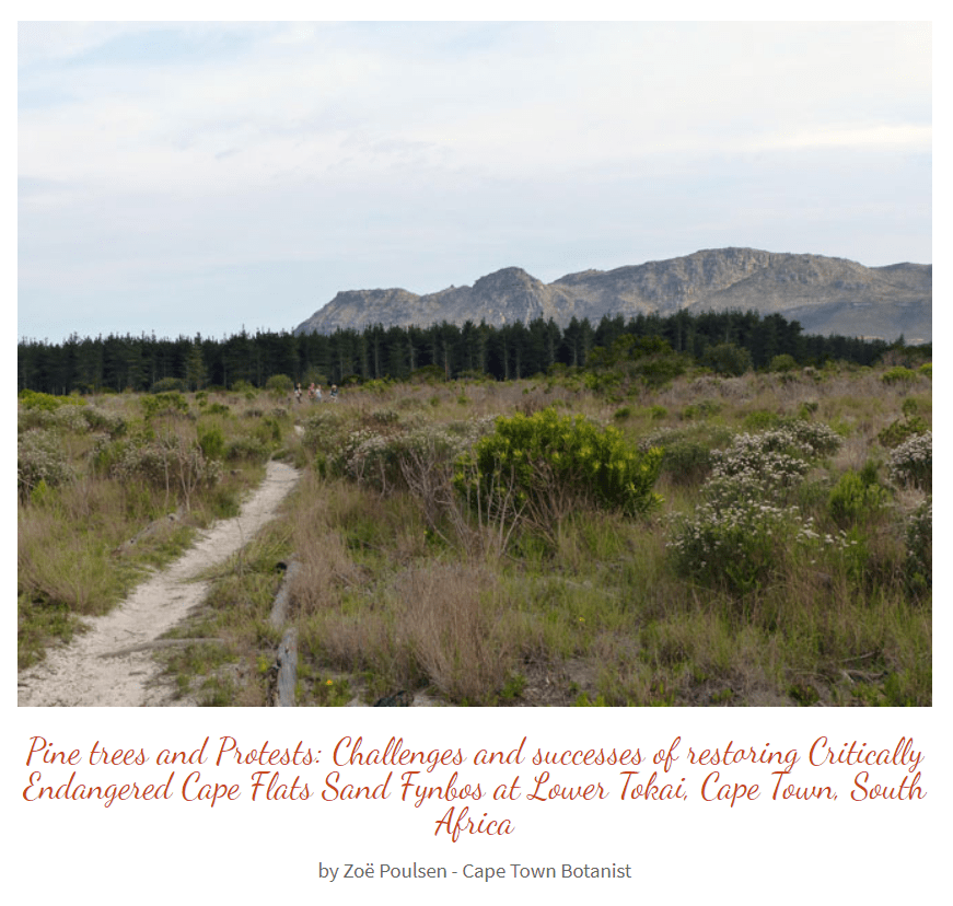 Notes from a Cape Town Botanist Tokai Park