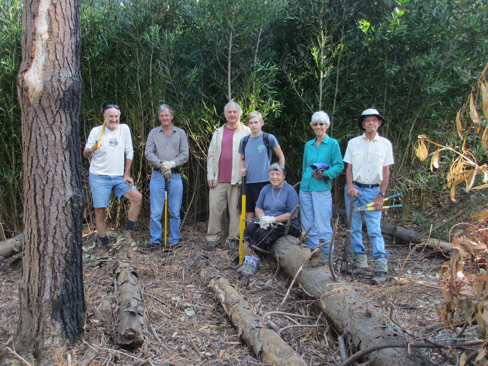 Tokai Park Arboretum Hack