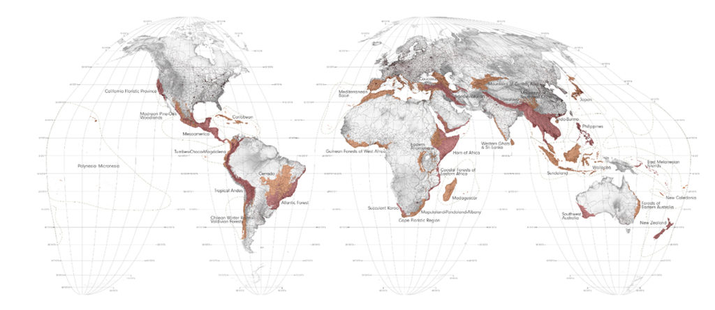 Biodiversity Hotspots