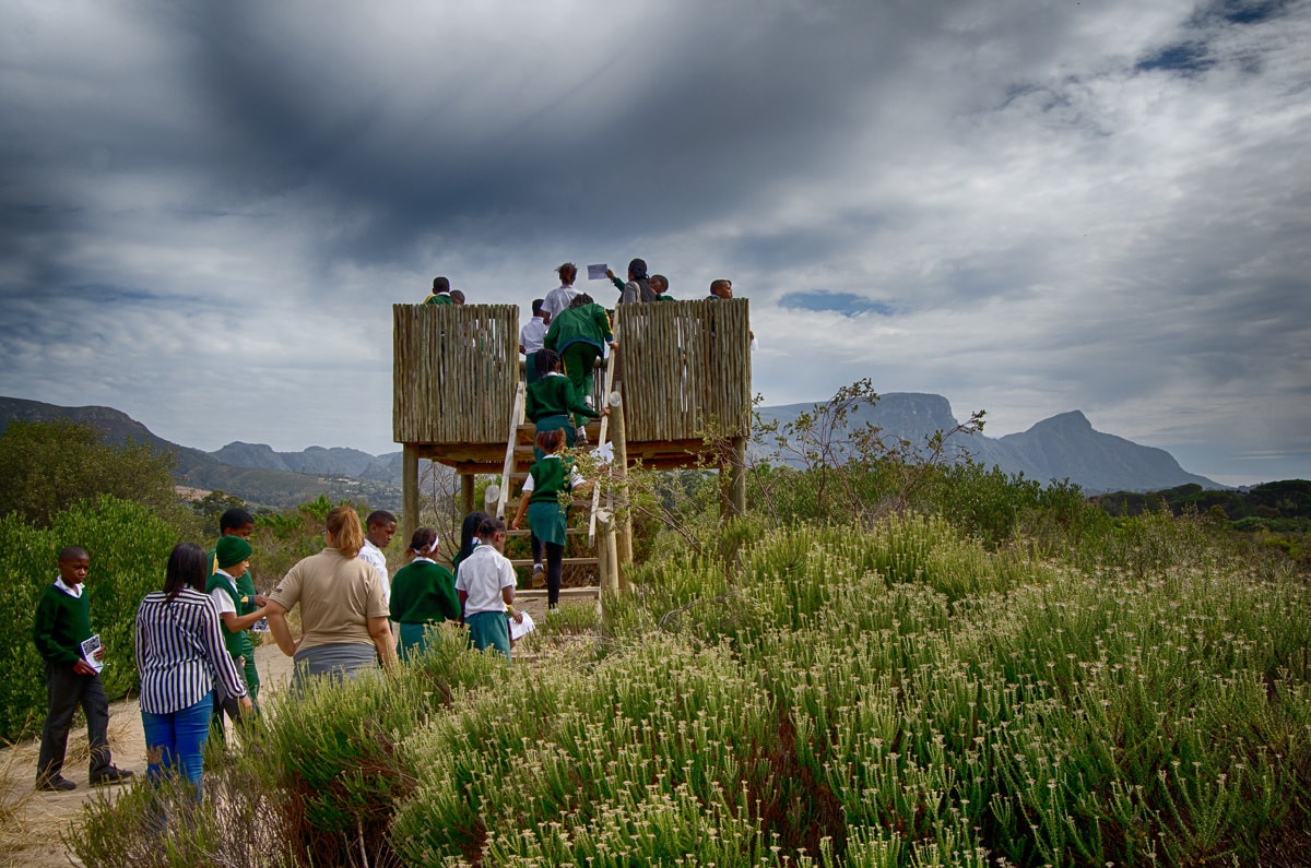 Classes in the Park – Nature Week a hit with Tokai-area learners ...