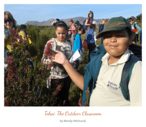 Cape Town Botanist Tokai The Outdoor Classroom