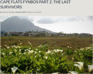 Dominic-Chadborn-Cape-Flats-Fynbos-Part-2-The-Last-Survivors