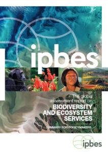 IPBES 2020 – The global assessment report on Biodiversity and Ecosystem Services (Summary for Policymakers)