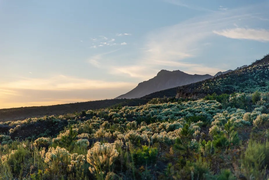 City of Cape Town Draft Climate Change Strategy 2020