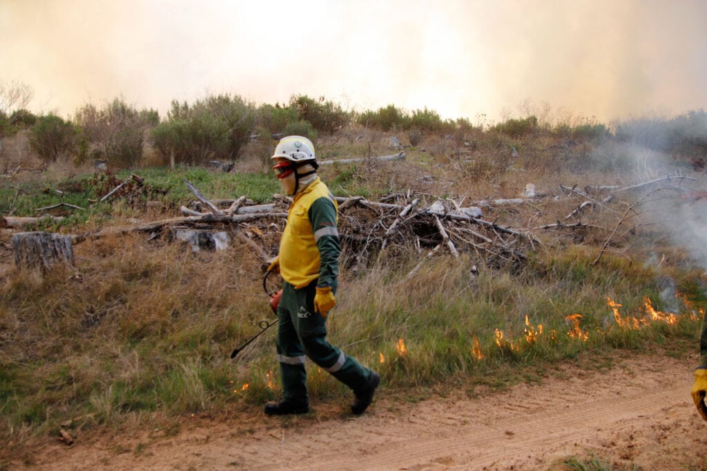 Prinskasteel Wetland Block 19A restoration fire