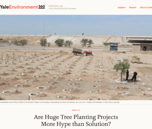 Are Huge Tree Planting Projects More Hype than Solution?