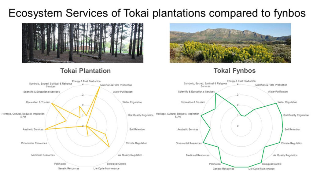 Tokai Park Ecosystem Services