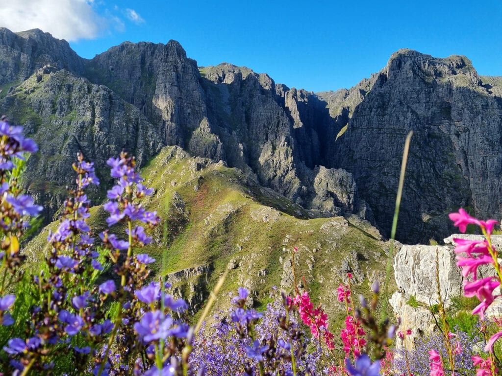 Jonkershoek Nature Reserve Image Santie Gouws