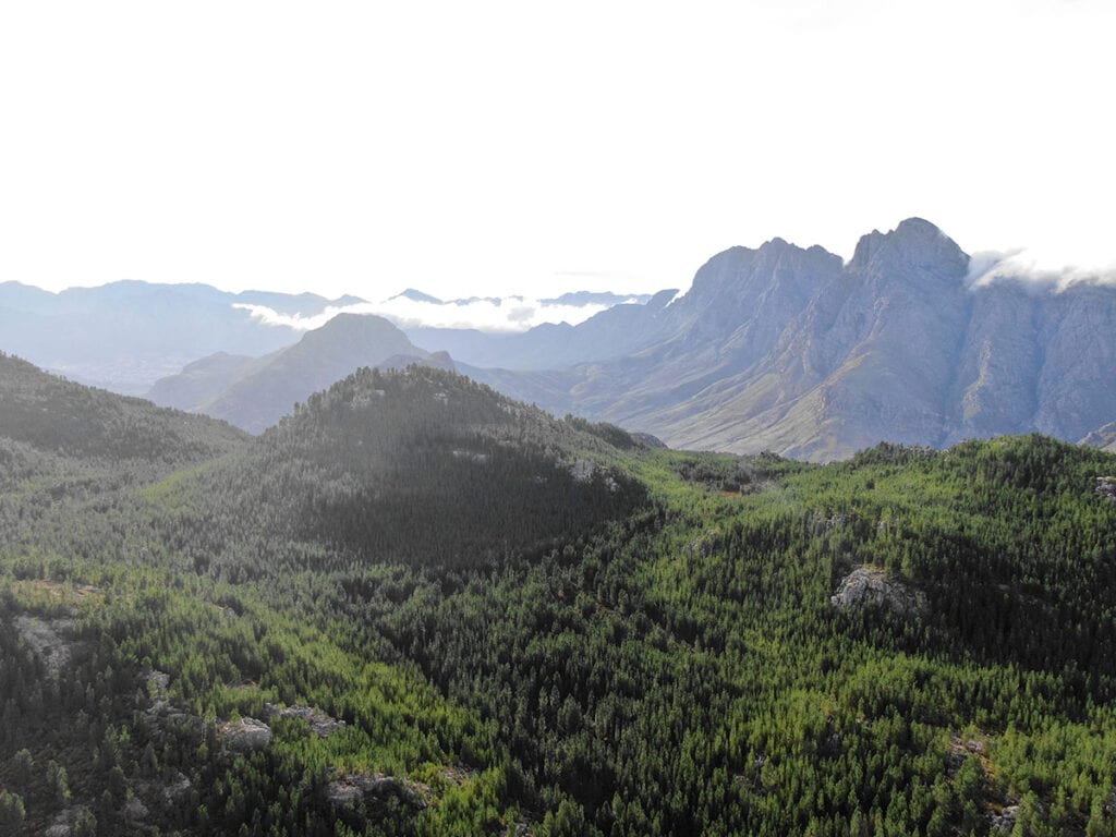 Cape Winelands Biosphere Reserve