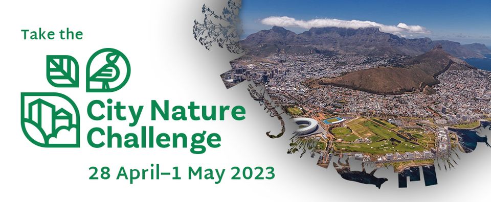 City Nature Challenge 2023