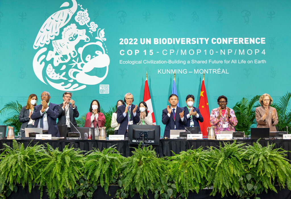 COP15 Adoption of the Kunming Montreal Framework 19 December 2022