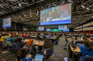 COP15 Adoption of the Kunming Montreal Framework 19 December 2022