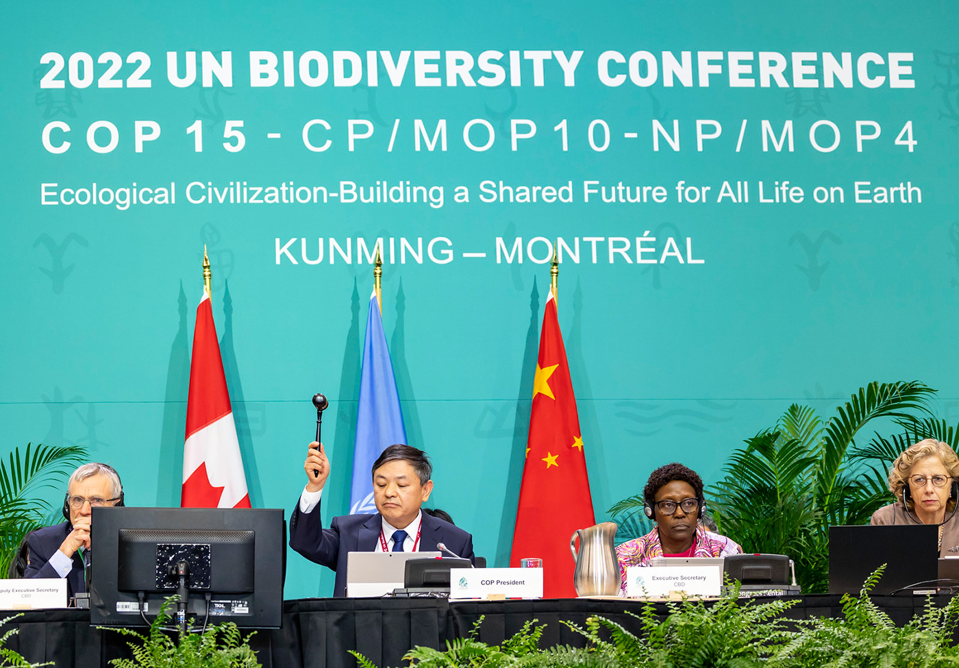 COP15 Adoption of the Kunming Montreal Framework 19 December 2022