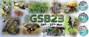 Great Southern Bioblitz 2023