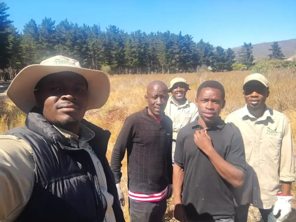 Sugarbird Project team leader Ayanda with his team