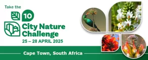 City Nature Challenge - Cape Town 2024