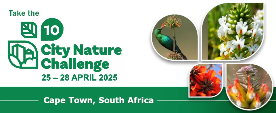 City Nature Challenge Cape Town 2025