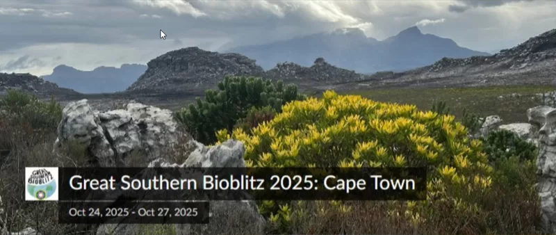 Great Southern Bioblitz 2025