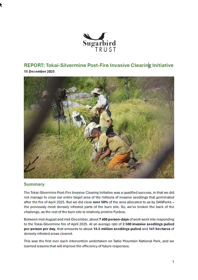 Sugarbird Trust (2025) – Report: Tokai-Silvermine Post-Fire Invasive Clearing Initiative