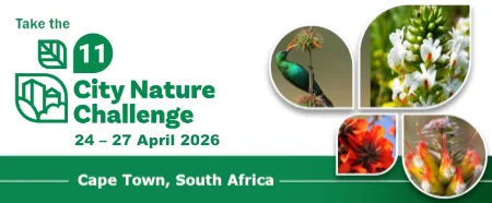 City Nature Challenge - Cape Town 2026