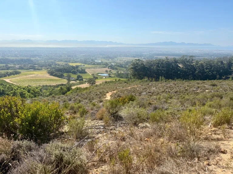 Mature veld above Chrysalis Academy