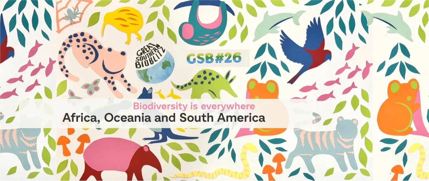 Great Southern Bioblitz 2026